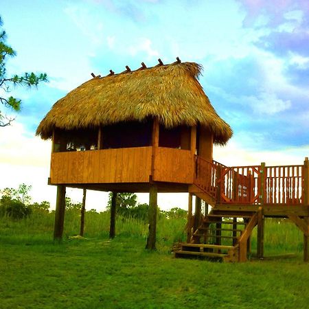 Everglades Chickee Cottage & Bungalow - Ochopee Экстерьер фото